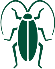 Cockroaches Pest Control CT