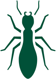 Termites Pest Control CT